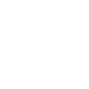 /logo/icon/tiktok.png